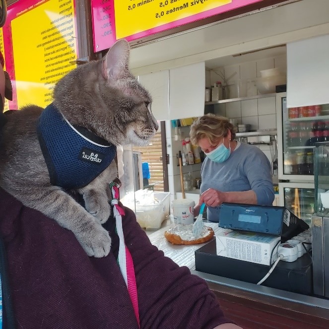 Kracht van samenwerking – Mr. Géza en Joe redden het samen